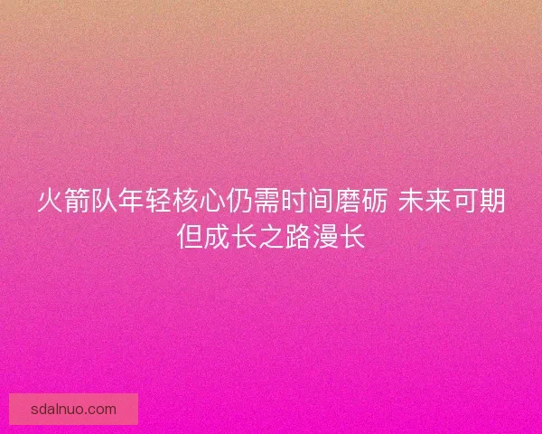 火箭队年轻核心仍需时间磨砺 未来可期但成长之路漫长