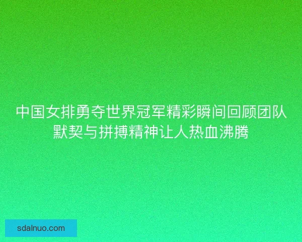 中国女排勇夺世界冠军精彩瞬间回顾团队默契与拼搏精神让人热血沸腾